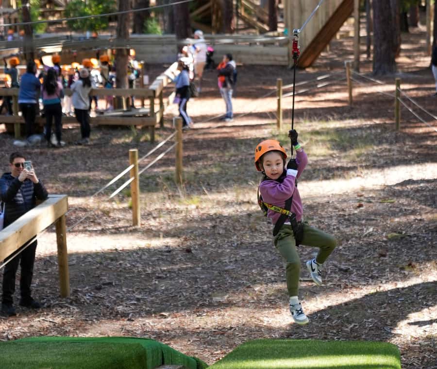 TreeClimb Kuitpo Forest: Treetop Fun For Little Adventurers - Key things to know before you go