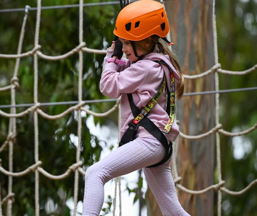 TreeClimb Kuitpo Forest: Treetop Fun For Little Adventurers - Kuitpo Forest treetop climbing: what the experience feels like