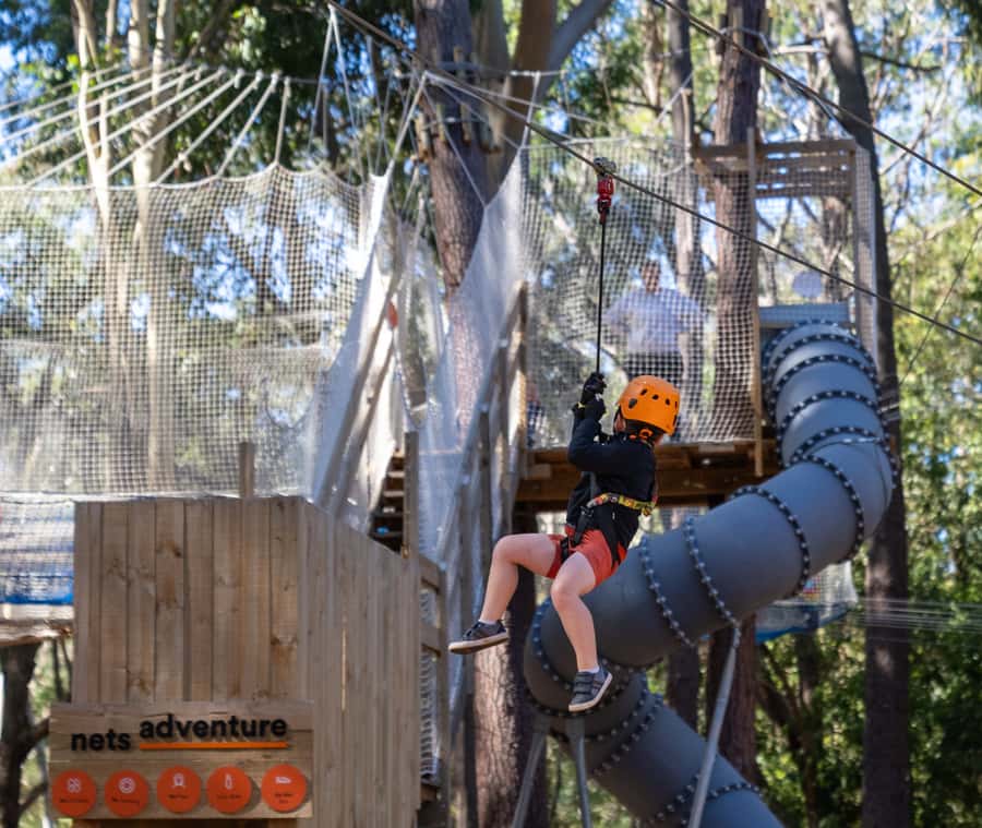 TreeClimb Kuitpo Forest: Treetop Fun For Little Adventurers - Rope bridges, swinging platforms, and mini zip lines