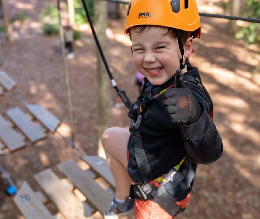 TreeClimb Kuitpo Forest: Treetop Fun For Little Adventurers - Who should book (and who should skip it)