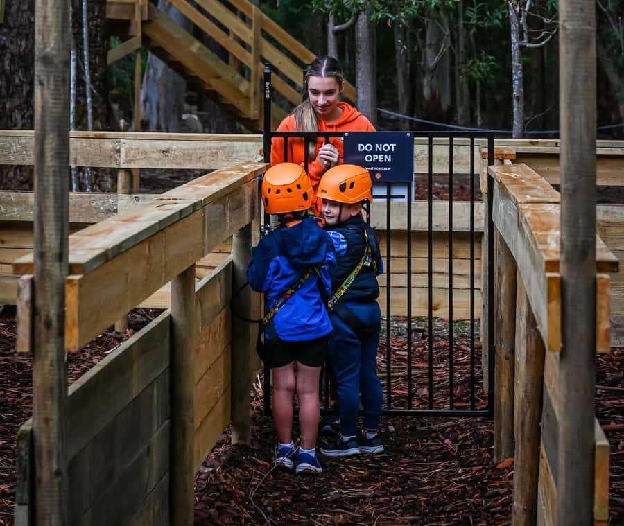 TreeClimb Kuitpo Forest: Treetop Fun For Little Adventurers - Your 80-minute game plan: from check-in to the last obstacle