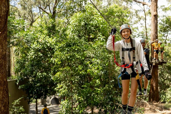 TreeTop Challenge Currumbin Wildlife Park - Key highlights to plan for