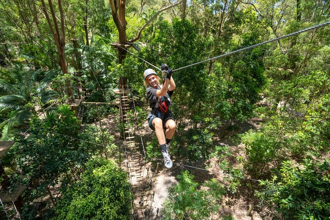 TreeTop Challenge Currumbin Wildlife Park - Who should book TreeTop Challenge Currumbin (and who should rethink it)