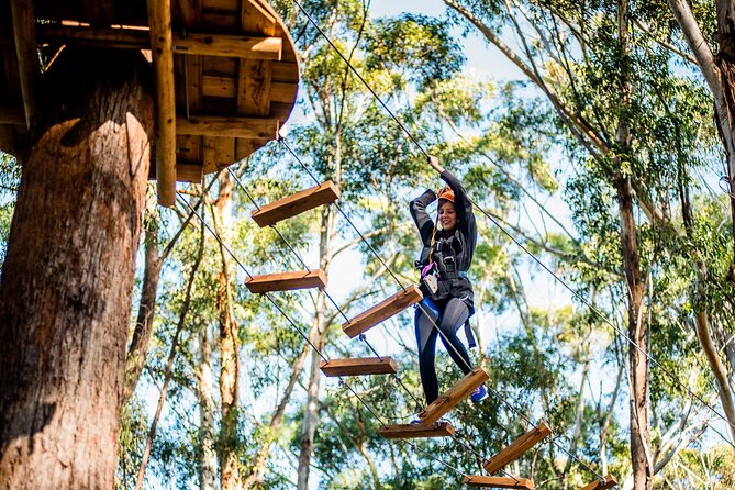 Treetops Adventure Coffs Harbour Tree Ropes Course - Coffs Harbour Tree Ropes: How the 2.5 Hours Is Spent