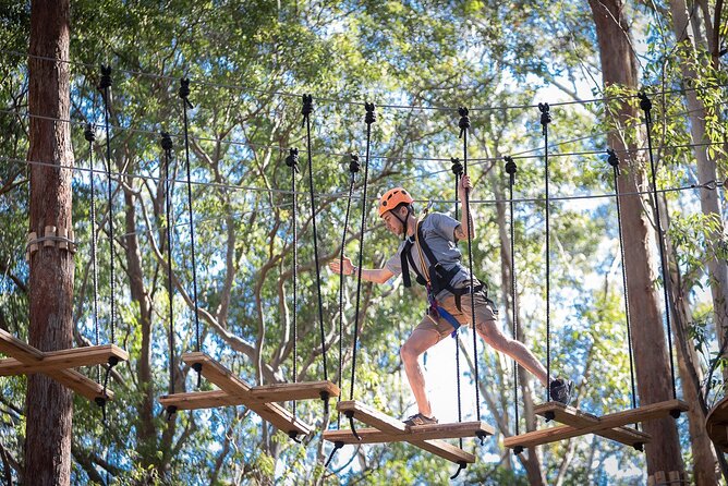 Treetops Adventure The Hills - Tree Ropes Course - A quick mental picture of what you’re doing