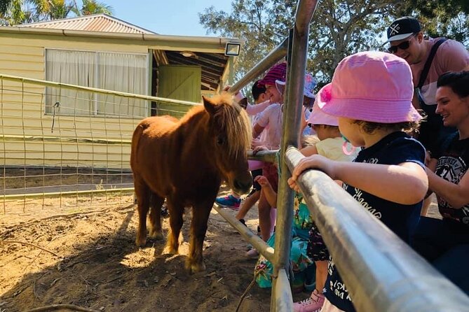 Trevena Glen 1hr Animal Tour - Getting there: meeting point, timing, and day-of reality