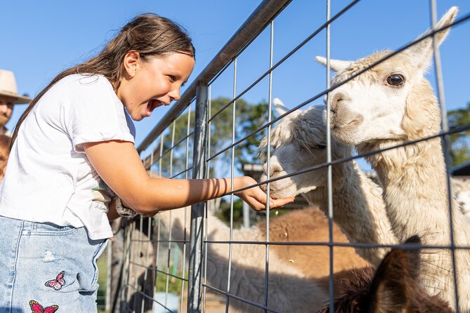 Trevena Glen Farm Animal Experience - Key things I’d notice before you go