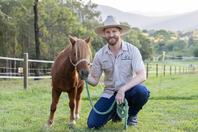 Trevena Glen Farm Animal Experience - Kids, pacing, and the real value of a short farm tour