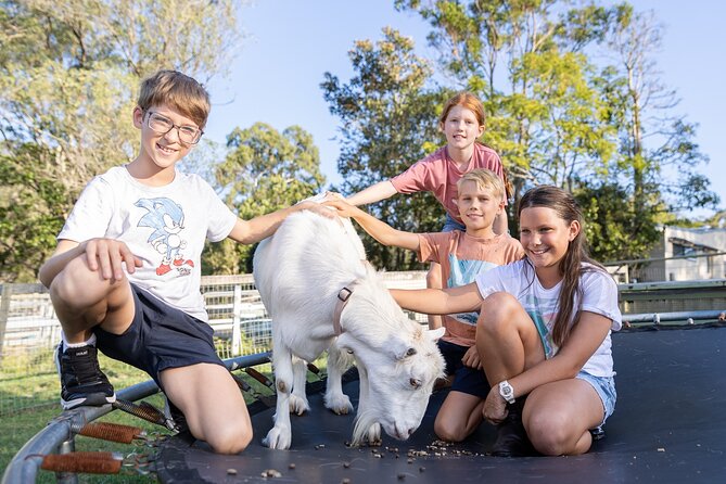 Trevena Glen Farm Animal Experience - Facilities you can use while the day stays easy