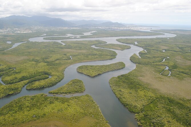 Trinity Inlet Self-Drive Pontoon Boat Hire in Cairns - Cruising Trinity Inlet: mangroves, birds, and quiet water