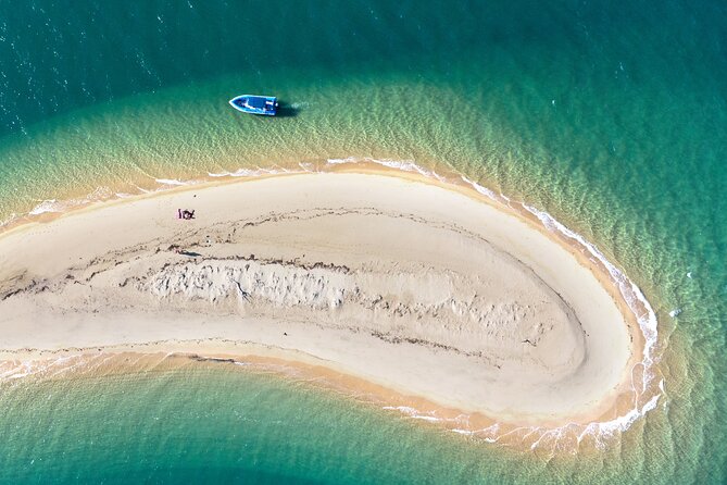 Tropical Dunk Island Half Day Activity from Mission Beach - Snorkel and swim time at two locations (and how to make it work)