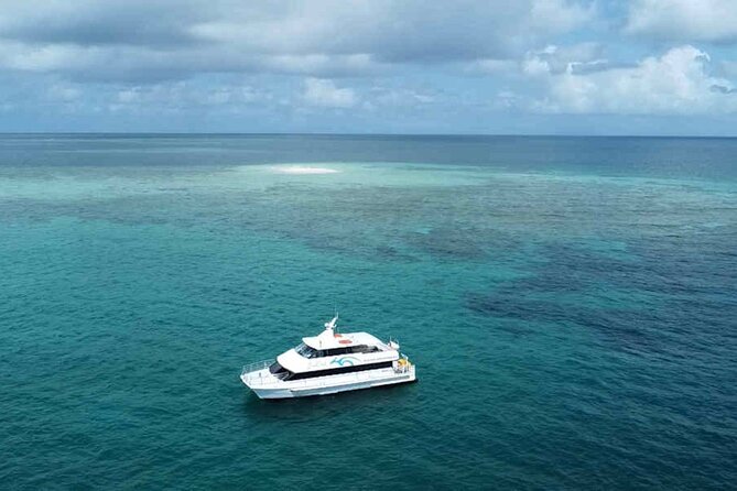 Tropical Dunk Island Half Day Activity from Mission Beach - Who this tour suits best (and who should think twice)