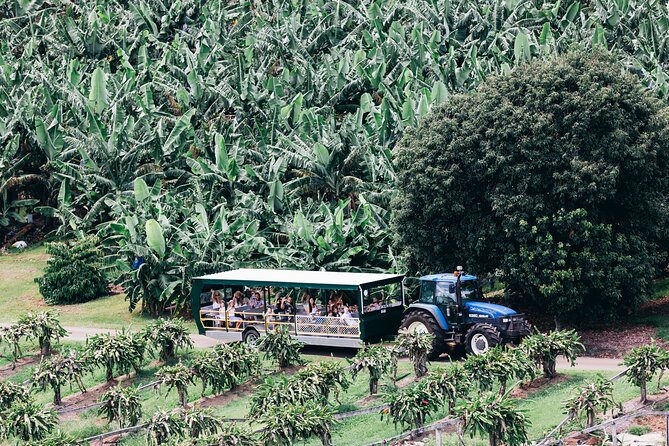 Tropical Fruit World Farm Full Tour - The wildlife-spotting cruise: a welcome change from the heat and wheels