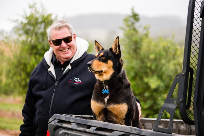 Truffle Hunt and Taste Experience in Oberon, NSW Australia - Digging up a truffle yourself: a hands-on reality check