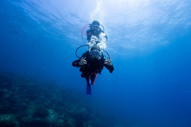 Try Scuba Diving at Cook Island – Guided Ocean Dive with Turtles - Key Things to Know Before You Go