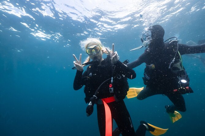 Try Scuba Diving at Cook Island – Guided Ocean Dive with Turtles - What a 6-Hour Day Looks Like (Without Overpromising)