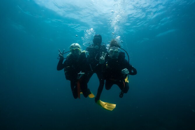Try Scuba Diving at Cook Island – Guided Ocean Dive with Turtles - Price and Value at About $192.94 Per Person