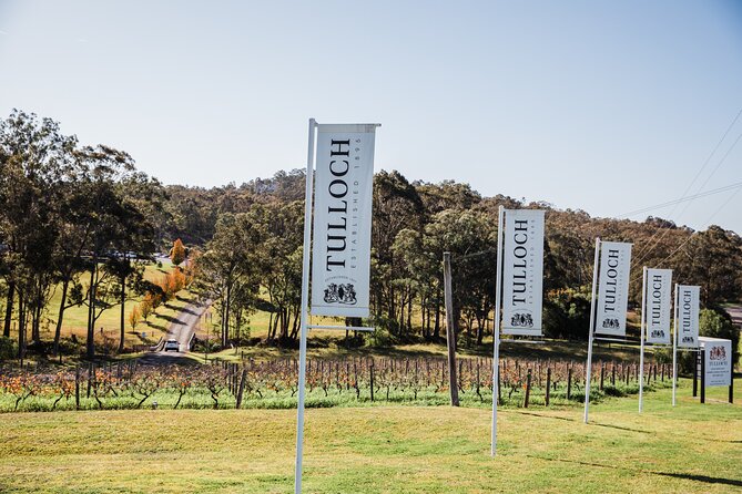 Tulloch Wines Hunter Heroes Wine Tasting with Local Cheese & Charcuterie Board - Should you book this Hunter Valley wine tasting?