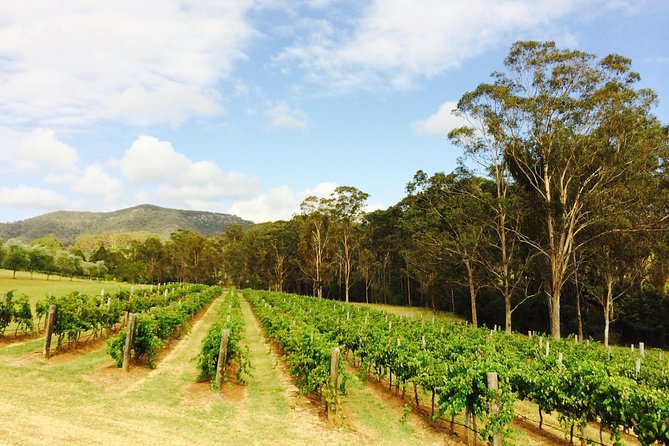 Tulloch Wines- Mystery Wine Tasting Experience with Local Cheese and Charcuterie - Hunter Valley context: an easy day trip base from Sydney