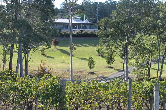 Tulloch Wines- Tasting of 6 Pokolbin Dry Red Shiraz Vintages with Charcuterie - Tulloch’s family story starting in 1895 (and why it matters for your tasting)