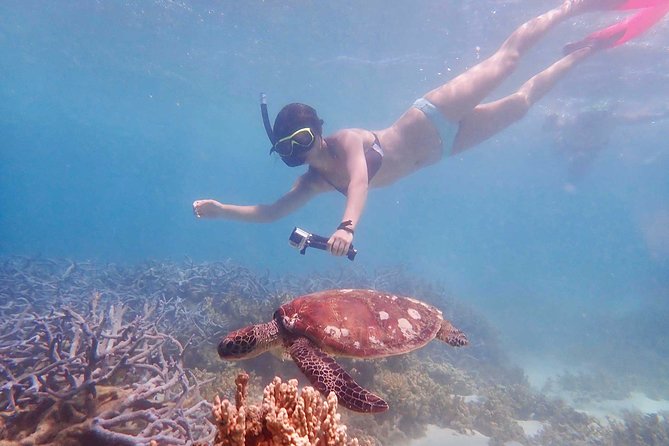 Turtle Tour - Ningaloo Reef Half Day Sea Kayak and Snorkel Tour - Timing, snack stop, and what’s included (and what you need to bring)