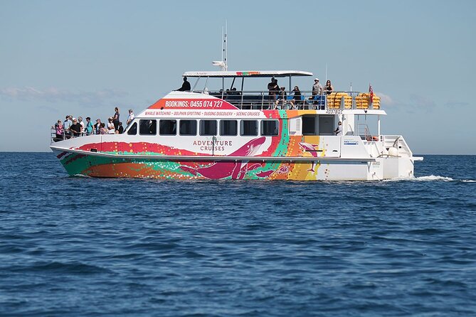 Twilight Bay Cruise in Hervey Bay - Getting onboard at Hervey Bay Boat Club (and why location matters)