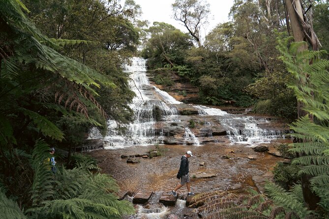Ultimate All Inclusive Blue Mountains with Scenic World Tour - Wentworth Falls lunch: an Aussie pub-style break