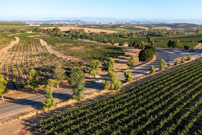Ultimate Barossa Adventure Day Tour For 2 - Combined Mustang Convertible-Trike - Stop 1 in Barossa Valley: what you’re really doing out there