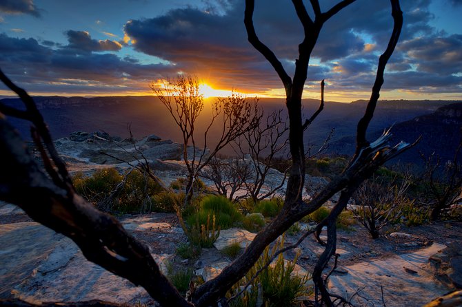 Ultimate Blue Mountains and Wildlife Tour - Key points to know before you go