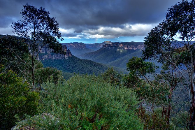Ultimate Blue Mountains and Wildlife Tour - Blue Mountains wildlife, minus the big-bus crowding