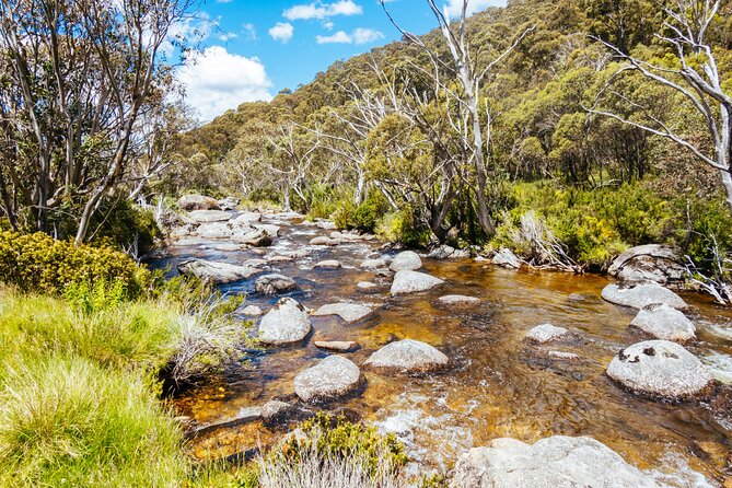 Ultimate Blue Mountains and Wildlife Tour - Leura lunch break: use the time well (and know it’s on you)