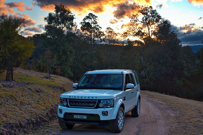 Ultimate Blue Mountains and Wildlife Tour - Sydney pickup and a comfortable 11-hour plan