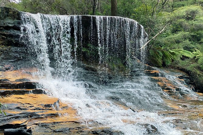 Ultimate Blue Mountains Private Tour with Scenic World and Wildlife Park - A Private Blue Mountains Day That Actually Includes the Hard-to-Plan Bits