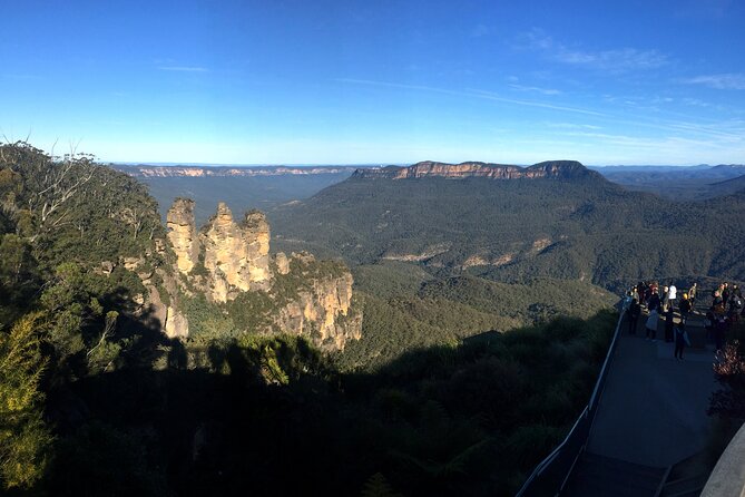 Ultimate Blue Mountains Private Tour with Scenic World and Wildlife Park - Scenic World: Skyway, the Steepest Railway, and the Cableway Return