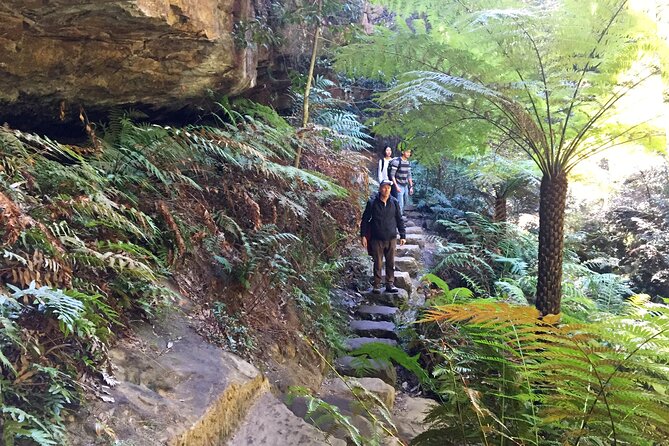 Ultimate Blue Mountains Private Tour with Scenic World and Wildlife Park - Leura Mall Lunch and Shopping Time in a Mountain Town