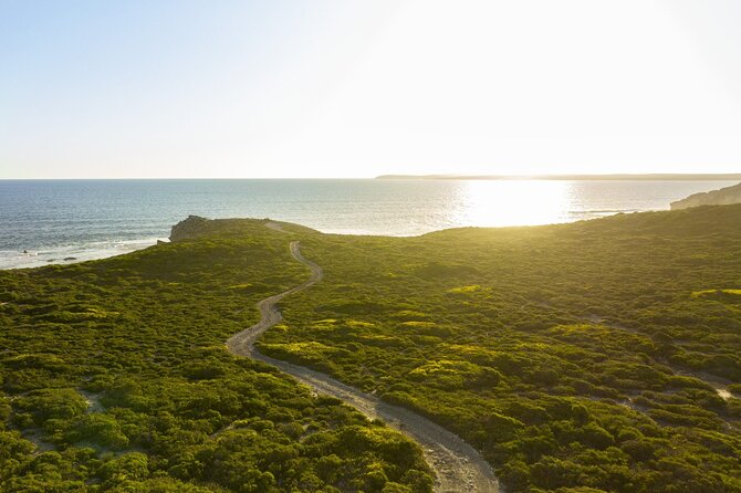 Ultimate Buggy Tour in Kangaroo Island - Little Sahara: the coastline angle that makes this feel different