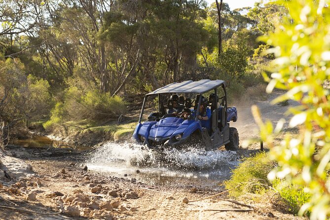 Ultimate Buggy Tour in Kangaroo Island - Meet at Vivonne Bay: the island reality you should plan for