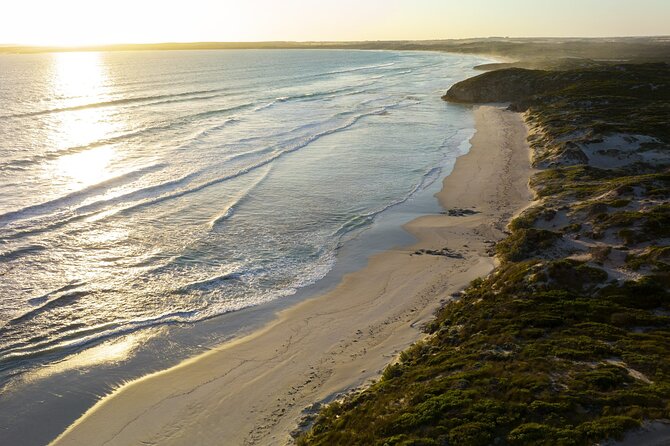 Ultimate Buggy Tour in Kangaroo Island - Price and value: $177.16 for a small-group dune experience
