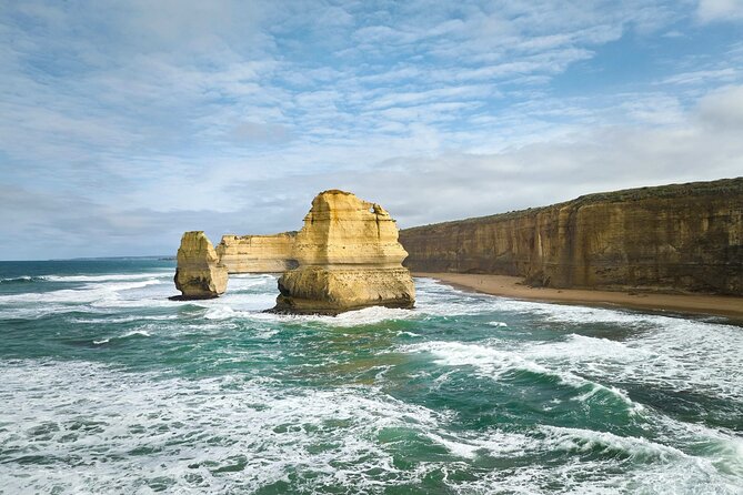 Ultimate Great Ocean Road Morning Escape Full Day Tour - Koalas in Great Otway: a nature stop with real uncertainty