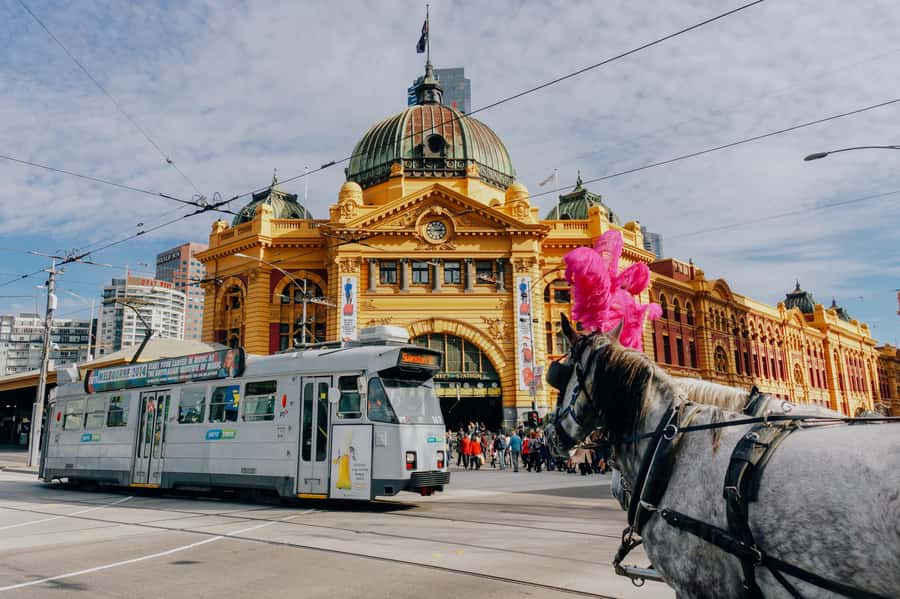 Ultimate Melbourne Walking Tour: History, Laneways & Culture - Hosier Lane street art: art as a living street language