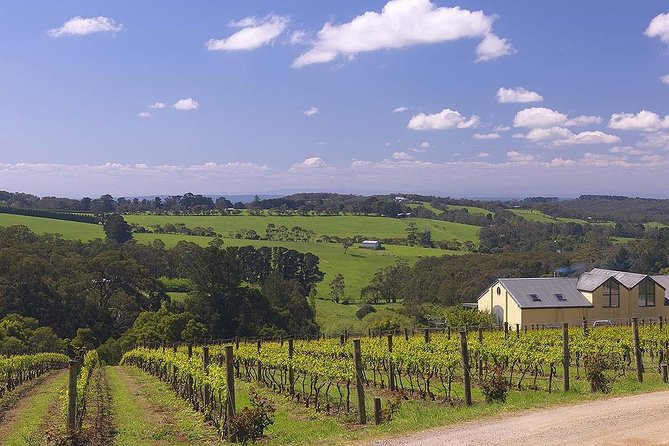 Ultimate Mornington Peninsula Food and Wine Small Group Tour - Price and value: does $193.66 make sense for a full wine-and-food day?
