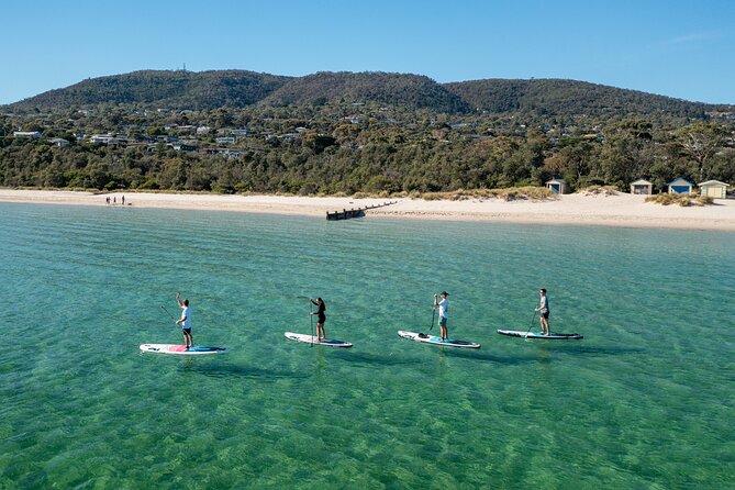 Ultimate Peninsula Adventure: Stand Up Paddle, Hot Springs, Hike, Lunch & Winery - Key Things I’d Not Miss