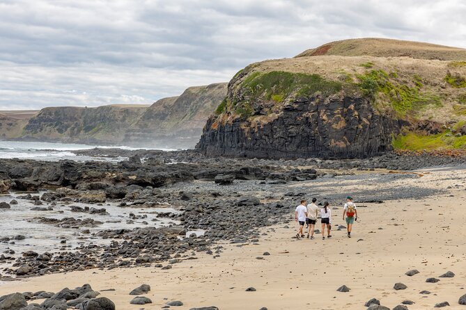 Ultimate Peninsula Adventure: Stand Up Paddle, Hot Springs, Hike, Lunch & Winery - Price and Value: What $207.28 Really Covers