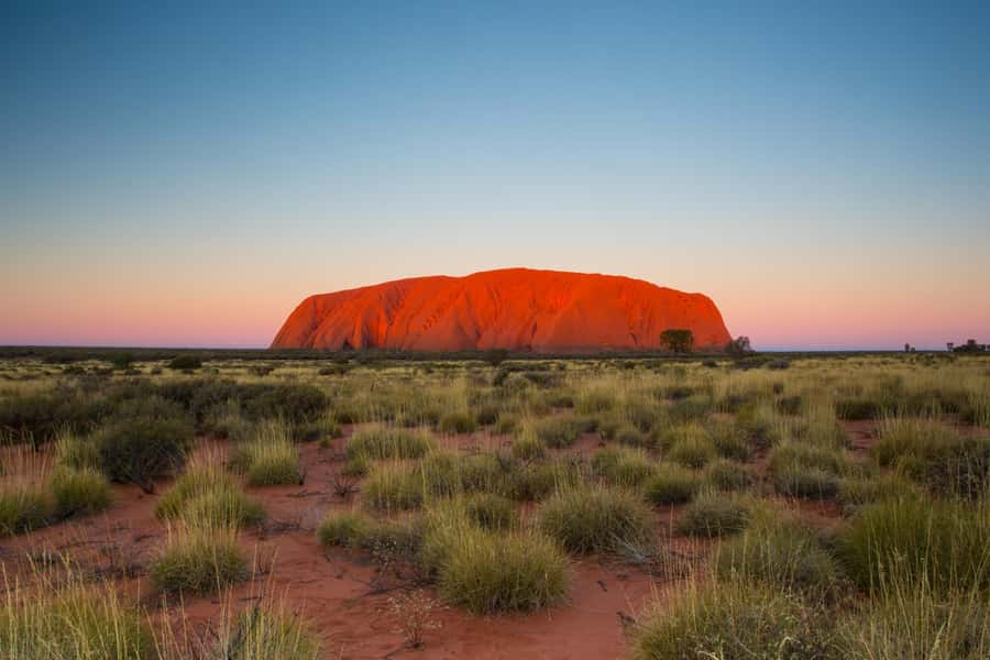 Uluru 1.5-Hour Sunset Tour with Sparkling Wine & Cheeseboard - What to Bring (So the Sunset Doesn’t Become a Comfort Battle)