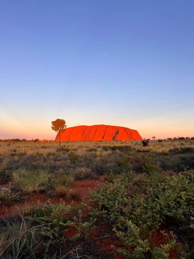 Uluru: 4-Day Rock to Rock Adventure Tour - The Red Centre circuit that actually saves you time