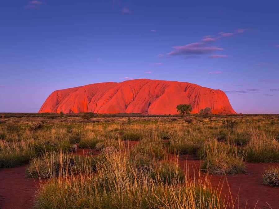 Uluru: 4-Day Rock to Rock Adventure Tour - Swags, showers, and flies: the camping reality check