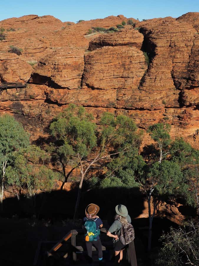 Uluru: 4-Day Rock to Rock Adventure Tour - Fitness, heat, and early starts: how to set yourself up