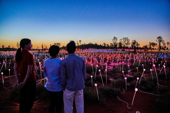 Uluru (Ayers Rock) Field of Light Sunrise Tour - A sunrise that starts in darkness, not in a hurry