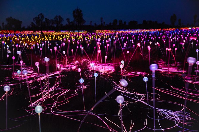 Uluru (Ayers Rock) Field of Light Sunrise Tour - Your 2-hour schedule: pickup, night walk, sunrise, done