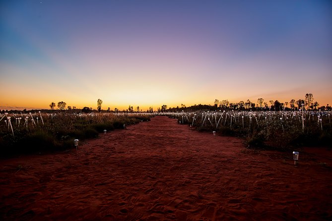Uluru (Ayers Rock) Field of Light Sunrise Tour - Who this tour suits best (and who might want to rethink it)